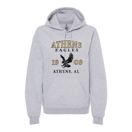 1909 Youth and Adult Hoodie